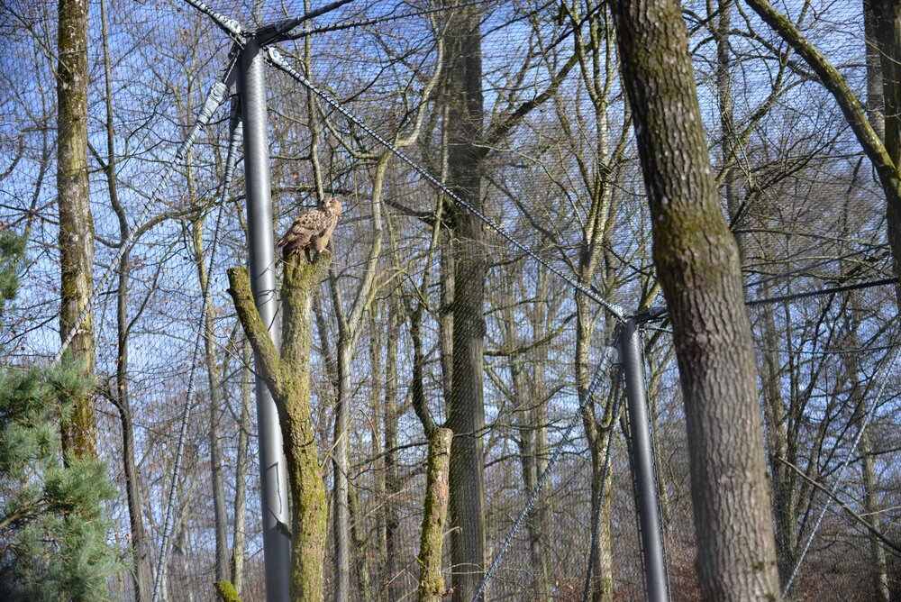 WZV_11_Tierisch_gut_Edelstahl_Rostfrei_im_Zoo_klein.JPG