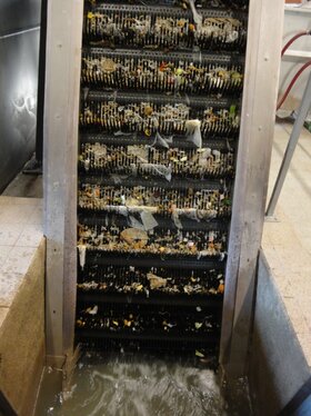 © WZV / GKD Bild_1_WZV_GKD1.JPG