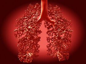 © WZV / Fotolia / Juan Gärtner WZV_Tuberkulose_Copyright_WZV-Fotolia-Juan_G_rtner.JPG