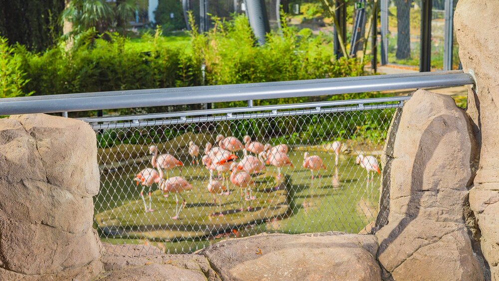 WZV_05_Tierisch_gut_Edelstahl_Rostfrei_im_Zoo_klein.jpg