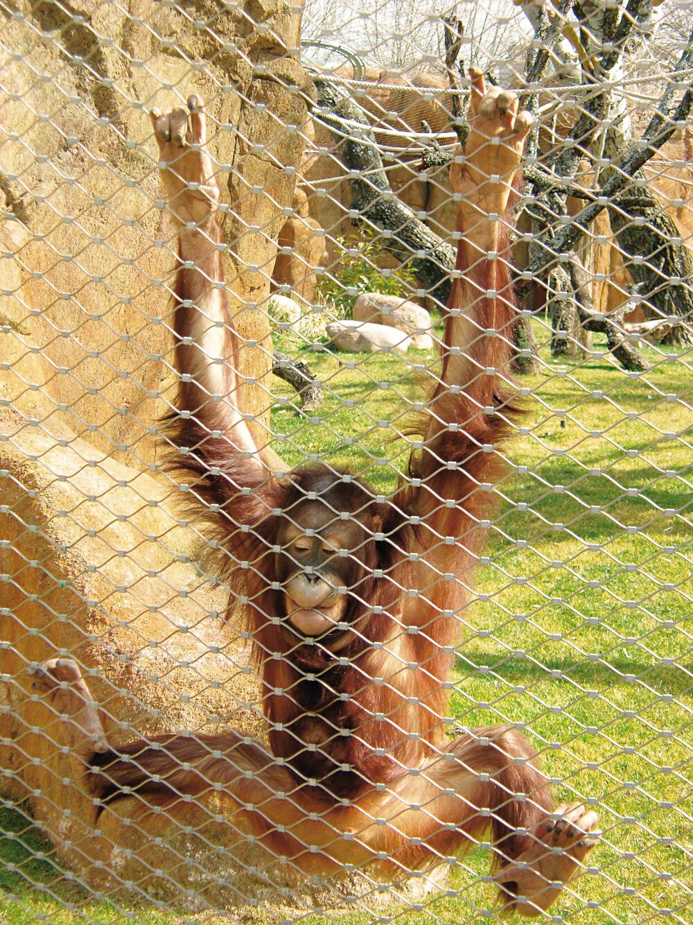 WZV_12_Tierisch_gut_Edelstahl_Rostfrei_im_Zoo_klein.jpg
